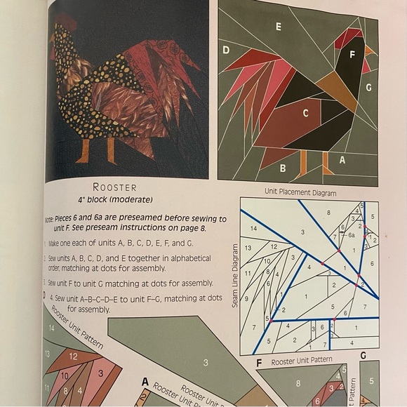 Beautiful Foundation-Pieced Quilt Blocks Book by Mary Jo Hiney - Picture 11 of 16